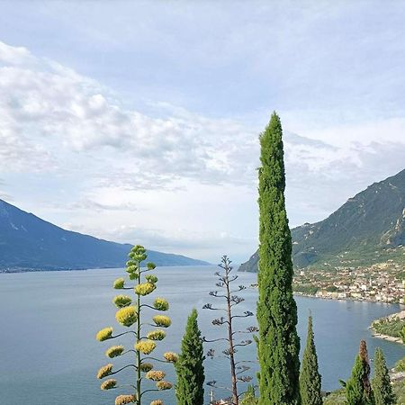 Centro Vacanze La Limonaia ลีโมเนซุลการ์ดา ภายนอก รูปภาพ